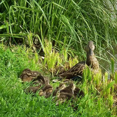 Hotel Touring Agard 2*