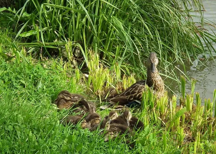 Otel Touring Agard 2*